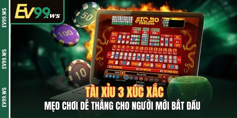 Tài Xỉu 3 Xúc Xắc – Mẹo Chơi Dễ Thắng Cho Người Mới Bắt Đầu Tài Xỉu 3 Xúc Xắc – Mẹo Chơi Dễ Thắng Cho Người Mới Bắt Đầu