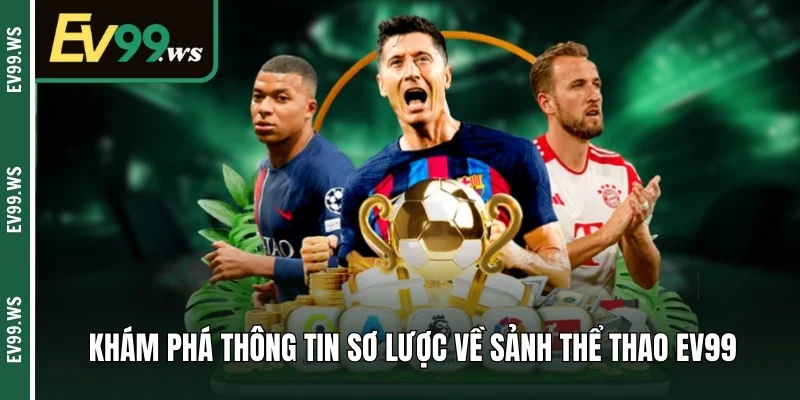 Khám phá thông tin sơ lược về sảnh thể thao EV99 